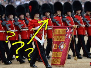 The Queen's Guard and how to spot the differences The Queen's Guard and how to spot the differences