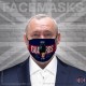 Irish Guards Bearskin, Regimental Face Mask (Non Medical Use) - FREE POSTAGE