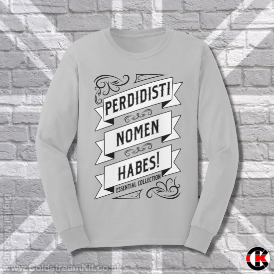 Latin Sweatshirt, You've Lost Your Name, Perdidisti Nomen Habes