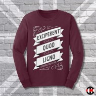 Latin Sweatshirt, Pick Up the Log, Exciperent Quod Ligno Latin Sweatshirt, Pick Up the Log, Exciperent Quod Ligno